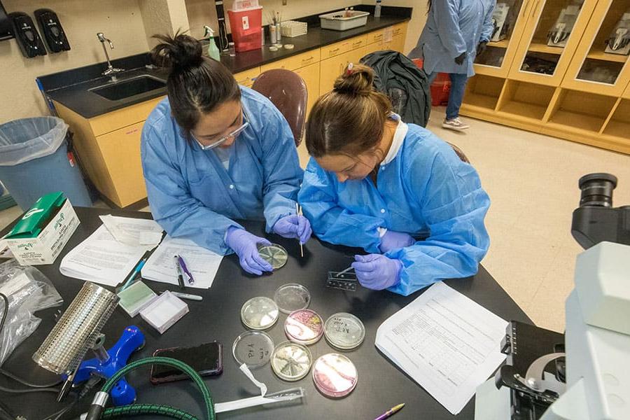 两名老葡京手机app的学生在生物实验室准备样品